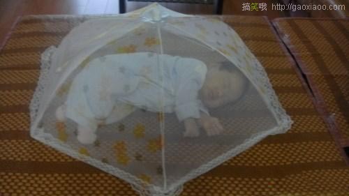 很囧很强大的迷你蚊帐