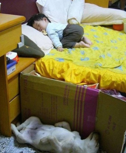 该躺的不躺，该趴的不趴。。