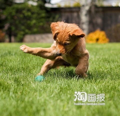 逗你玩