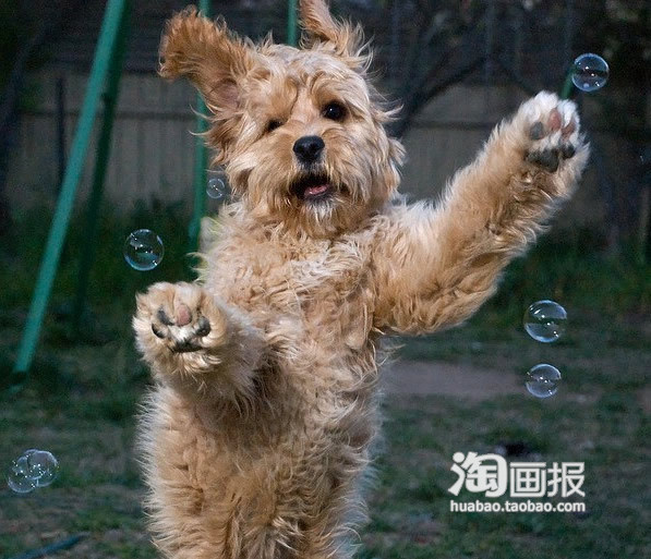 好多泡泡