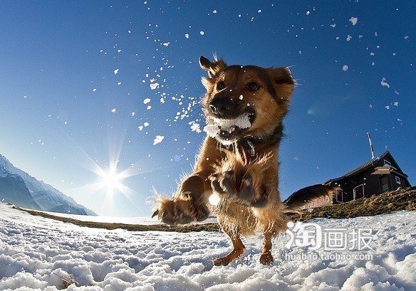 打雪仗