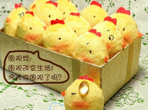 围观党：围观改变生活！今天你围观了吗？
