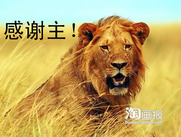 狮子说：感谢主