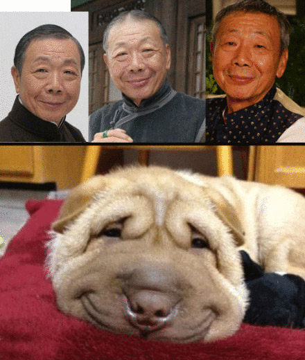 这也太神似了吧，哈哈哈。。。可怜的午马叔