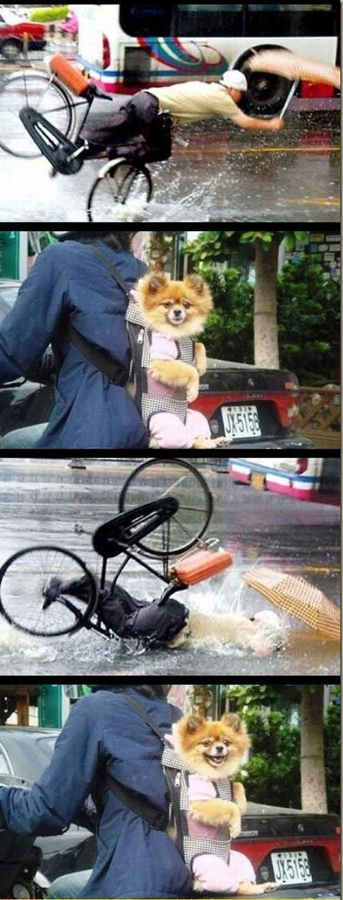 哦，上帝，很有趣！！